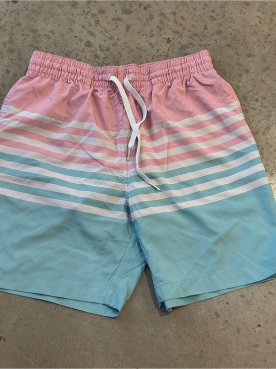 chubbies Other - Men's Chubbies Pink & Light Blue Striped Swim Trunks